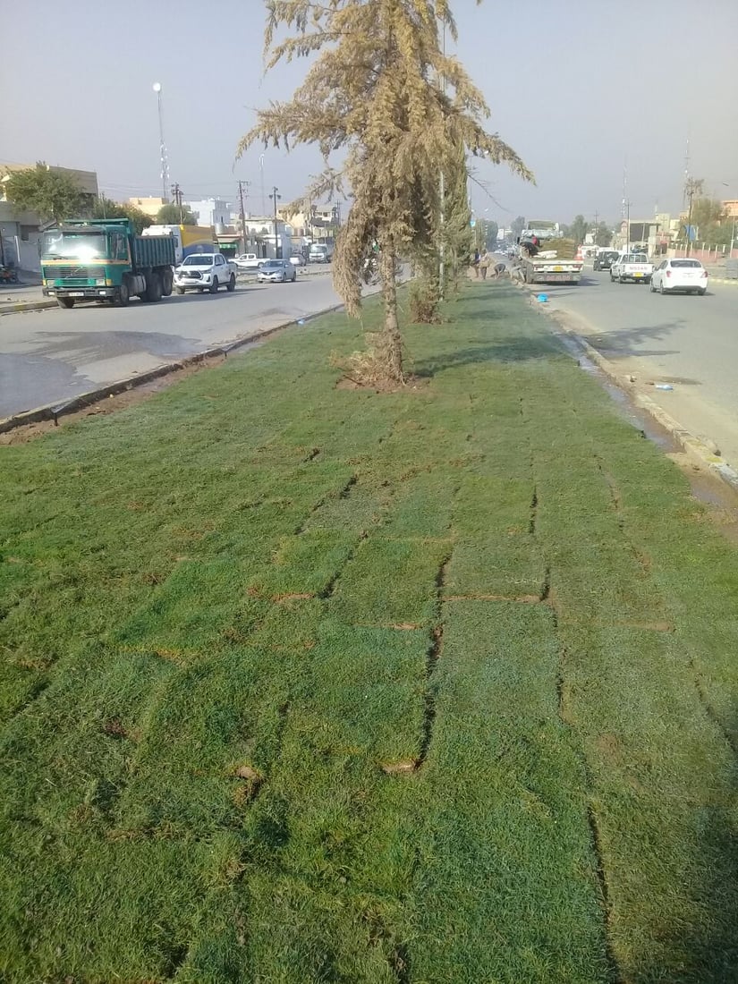 صور: بلدية آلتون كوبري طردت الكلاب السائبة من الجزرة وفرشت “الثيل”