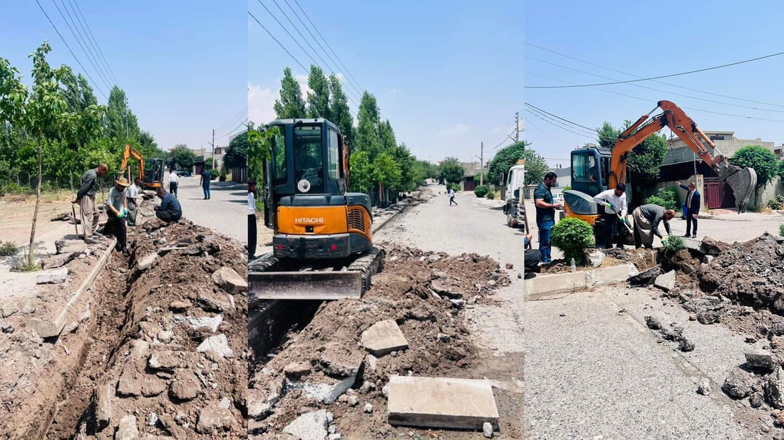 لە گۆپاڵە باخچەیەک لە وشکبوون دەپارێزرێت