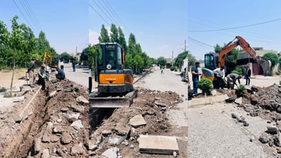 لە گۆپاڵە باخچەیەک لە وشکبوون دەپارێزرێت