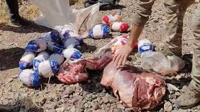 ویستیان گۆشتی خراپبوو بفرۆشن و بۆیان نەچووەسەر