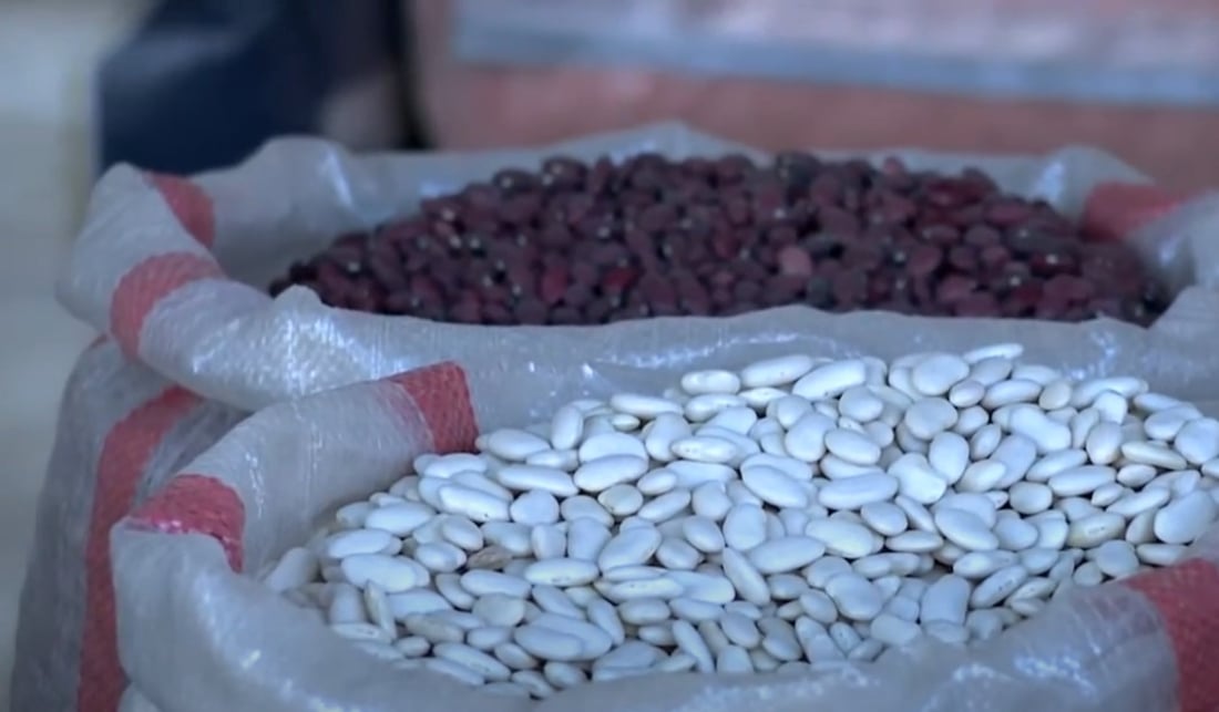 فەردەیەک فاسۆلیا 20 هەزار دیناری چووە سەر