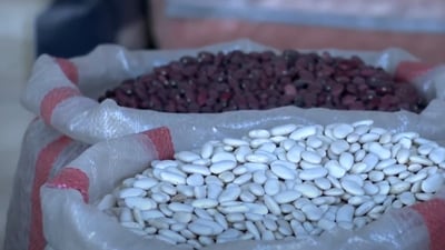 فەردەیەک فاسۆلیا 20 هەزار دیناری چووە سەر