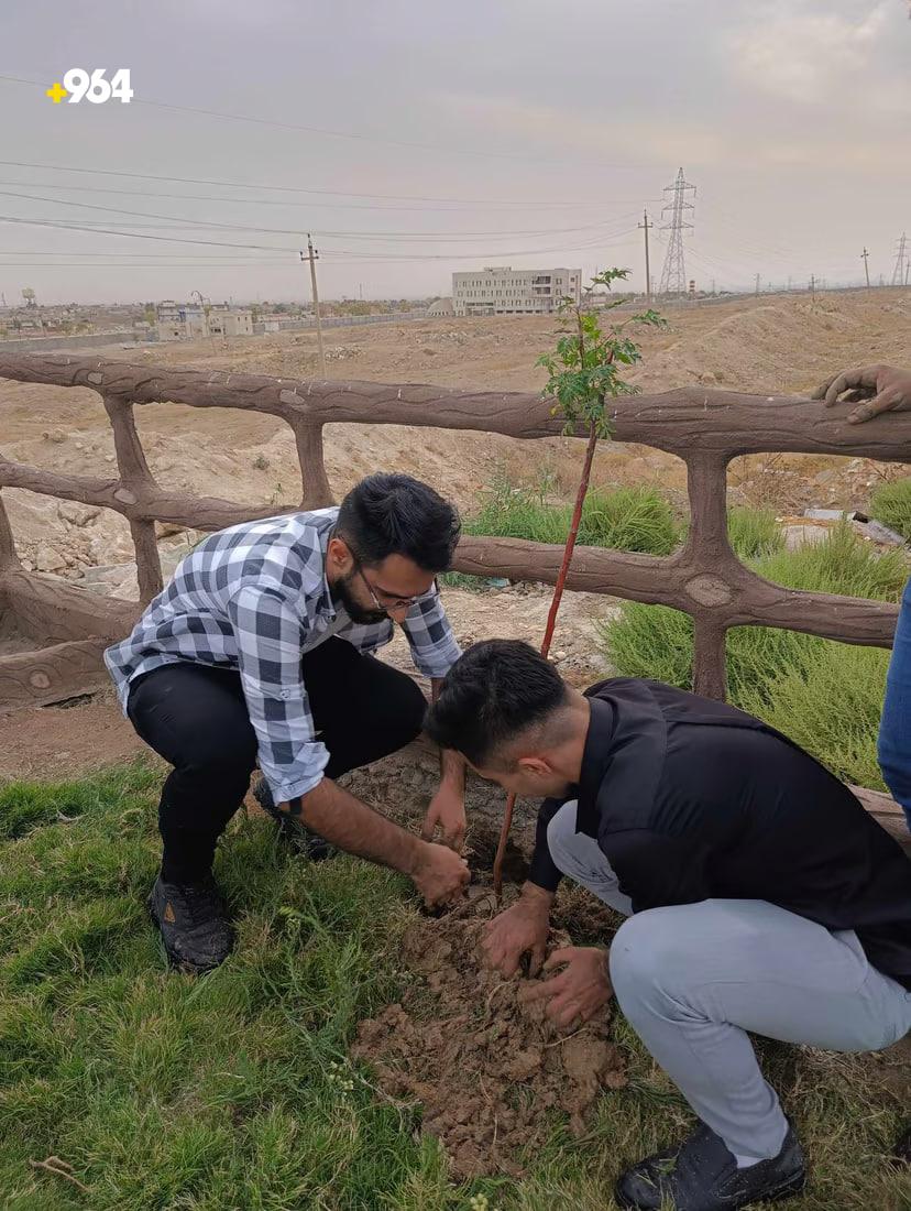 964mediaصورة من منصة (شبكة): 