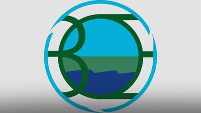 Raparin environment directorate files complaint against internet company