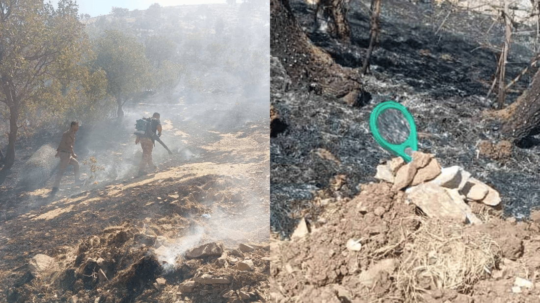 بە زەڕەبینێک نزیکەی 1000 داربەڕوو و 20 دۆنم پوش و پاوان سووتا