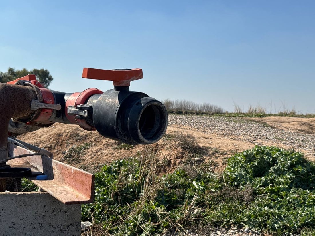 کارەبای حەوزە ماسییەکانی خانەقین بڕاوە و خاوەنەکانیان سەرگەردان بوون