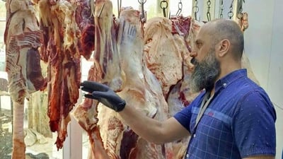 ديالى تتجه لإنشاء أول مجزرتين نموذجيتين بمواصفات عالمية