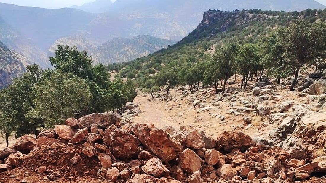 رێگاکانیان داخست تاوەکو رێگری لە داربڕین بکەن