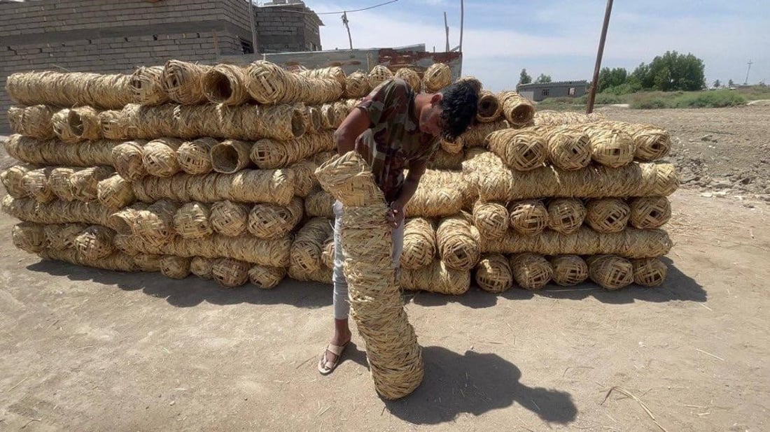 يجب أن تدوسها السيارات.. صور لصناعة أعشاش الطيور في الجبايش من قصب الدلمج الفاخر