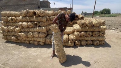 يجب أن تدوسها السيارات.. صور لصناعة أعشاش الطيور في الجبايش من قصب الدلمج الفاخر