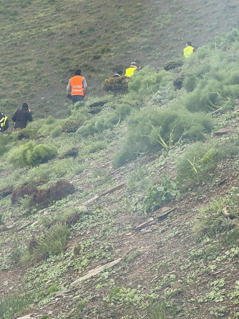 هاوڵاتییه‌كى ته‌مه‌ن 60 ساڵان له‌ كوێستانه‌كانى زینوێ ونبووه‌