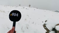 أربيل: شاهد العزف على العود وغناء 