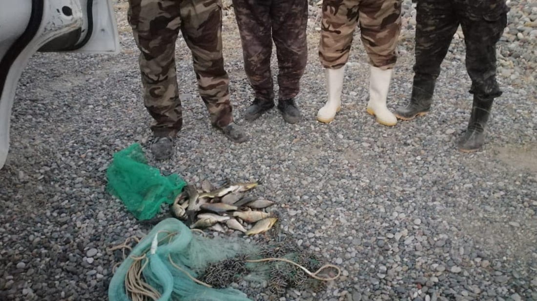 لە ماوەى 24 کاتژمێردا پێنج راوچى دەستگیرکراون