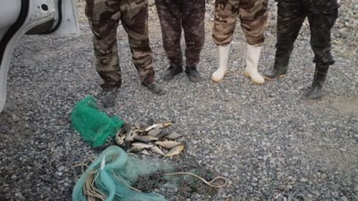 لە ماوەى 24 کاتژمێردا پێنج راوچى دەستگیرکراون