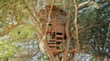 Diwaniyah officer builds storybook treehouse for his children, charming the village