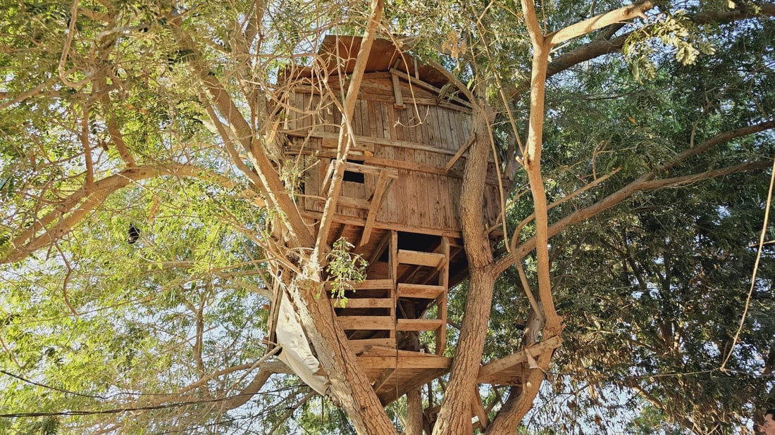 Diwaniyah officer builds storybook treehouse for his children, charming the village