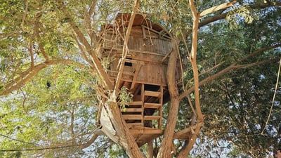 Diwaniyah officer builds storybook treehouse for his children, charming the village