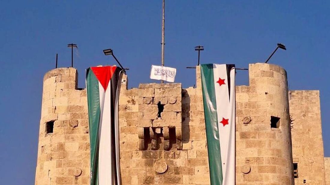 المعارضة السورية ترفع علم فلسطين بدل صورة الأسد على صخور قلعة حلب