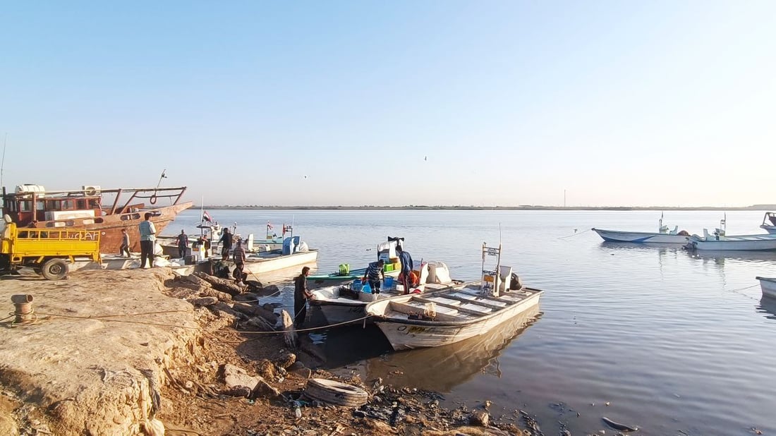 السلمون البرتقالي وصل.. صور وقائمة بأسعار سمك البحر في الفاو