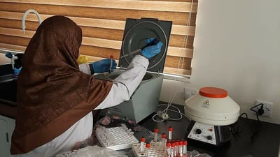 Dhi Qar reports hemorrhagic fever death as cases rise nationwide