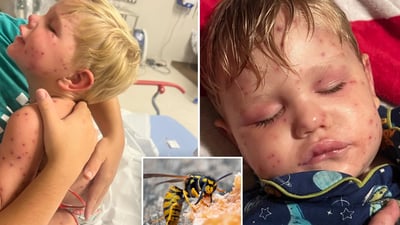 زەردەواڵە بێکهامیان تا نزیکى مەرگ برد