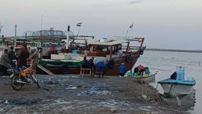 مزاد الأسماك في الفاو ينتعش مجددا: قائمة بأسعار اليوم