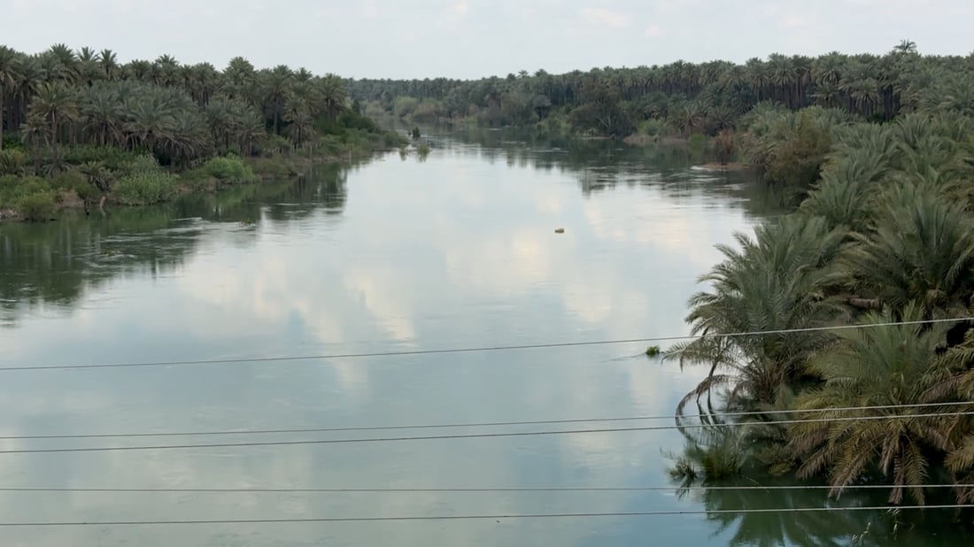 المياه تغمر حقول المشمش والخوخ بديالى.. مهندس منير ينصح الفلاحين بالمبيدات والتهوية
