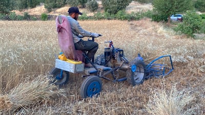 جوتیارانی پشدەر بە ئامێرێکی سادە دەغڵودانیان دروێنە دەکەن