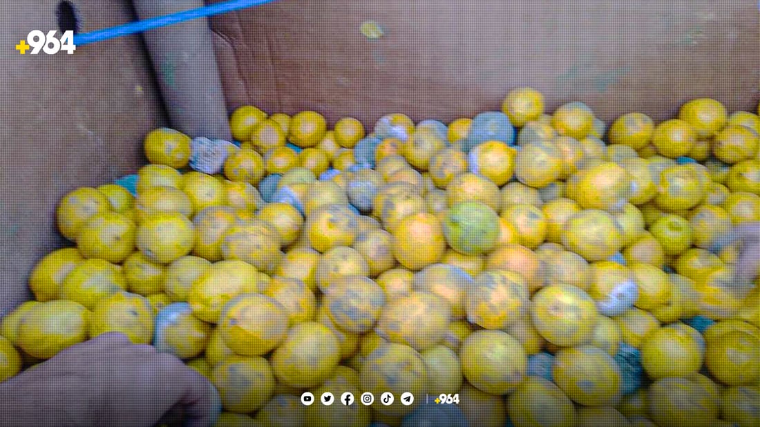 250 کیلۆ لیمۆی خراپ بوو دەستی بەسەردا گیرا