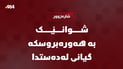 شوانێک بە هەورەبروسکە گیانی لەدەستدا