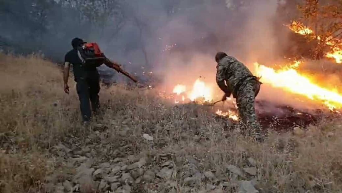 نزیکەی 600 دۆنم زەوی و دارستان لە گاپێڵۆن سووتا