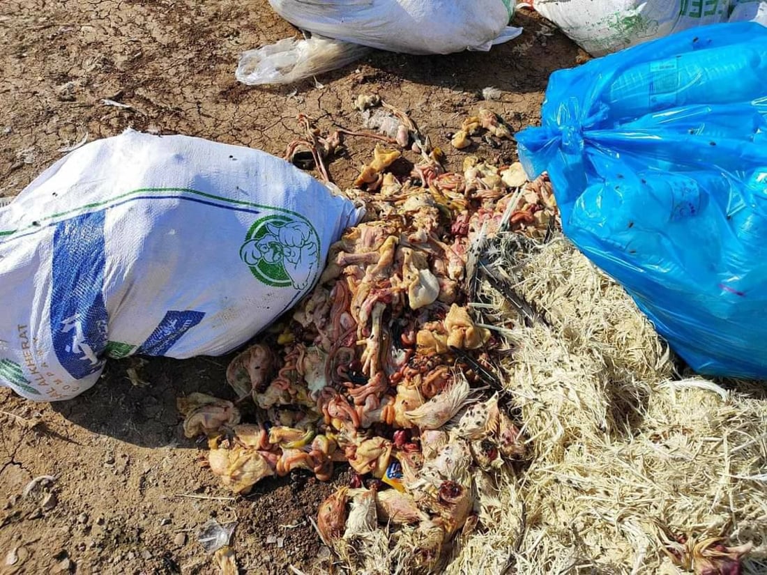 لە حاجیاوا شوێنى باخچەیەک کراوە بە زبڵدان