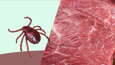 له ‌دهۆك هاورده‌كردنى ئاژەڵ و گۆشتى سوور بۆ‌ ناو شاره‌كه قه‌ده‌غه‌كرا