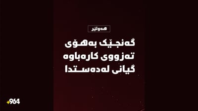 ویستی کارەبای هۆتێلەکە چاکبکاتەوە، خۆی گیانی لەدەستدا