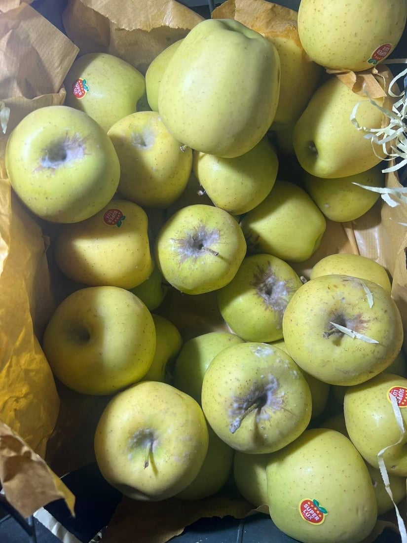 لە دەروازەی کێلێ 10 تۆن سێوی خراپبوو دەستى بەسەرداگیرا