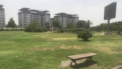 صور تهدئ الأعصاب: أشجار وثيل طبيعي لتزيين متنزهات البياع غربي بغداد