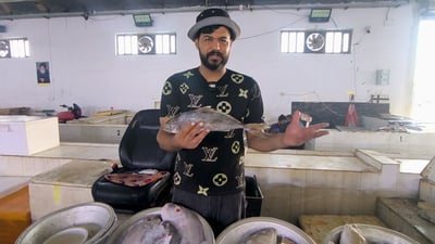 سمكة “الديايو” النادرة وصلت مرسى النقعة.. ترند العراق خالية من الشوك