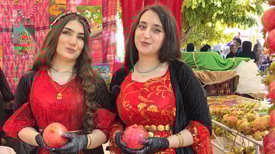 هەنارى ساڵەخانى ترش و شیرن و جوانى