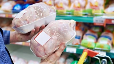 Iraq bans poultry imports to support local producers
