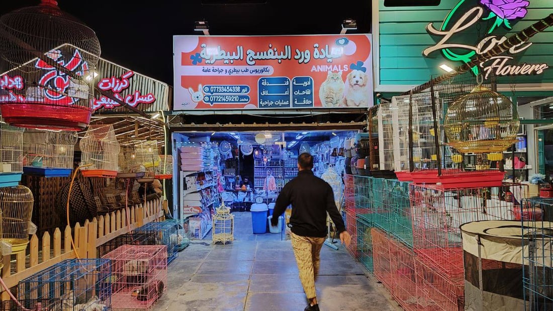من مركز زيونة.. القطط للبنات والموظفين.. والكلاب للشباب المتفرغين
