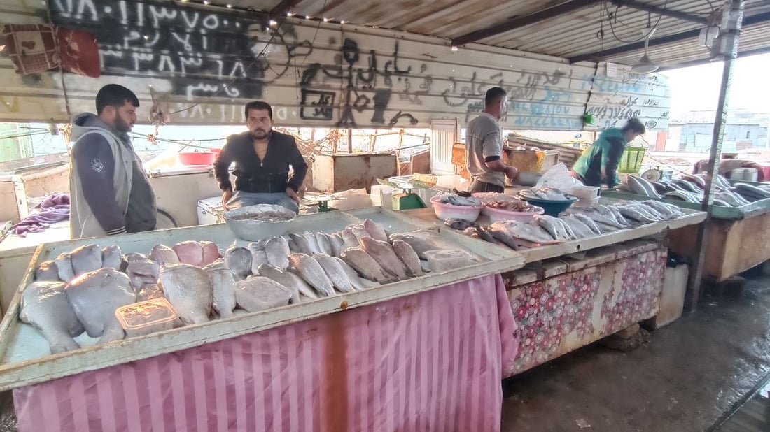 الحظ لم يحالف صيادي الفاو اليوم.. أجواء متقلبة والأسماك هربت من “الشرجي” (صور)