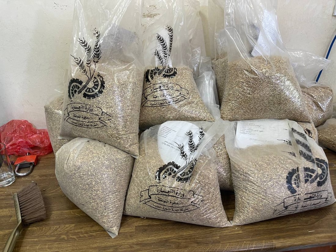 ديالى عوضت خسائرها السابقة: زرعنا فوق الخطة.. وطوابير الشاحنات عند السايلو (صور)