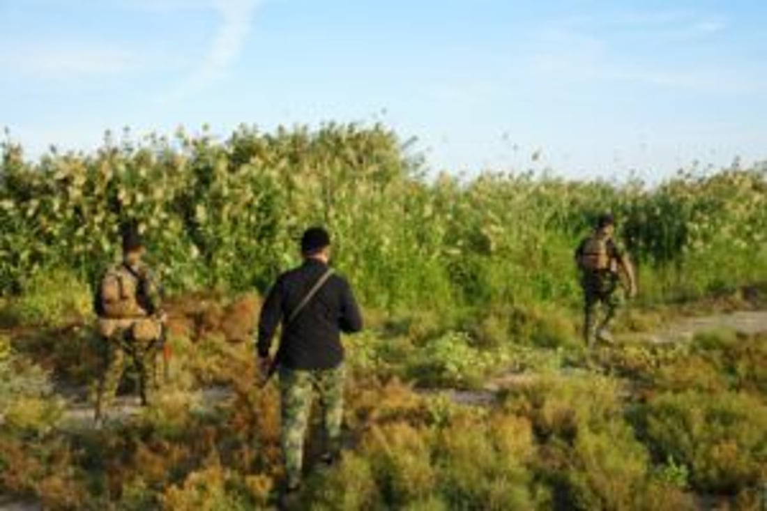 الحشد ينتشر في وديان نينوى.. عملية واسعة لتمشيط المناطق النائية