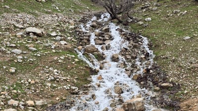 کانیاوەکانی دەورووبەری سلێمانی و شارباژێر تەقیون و سروشتیان رازاندووەتەوە