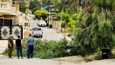له ‌شه‌قڵاوه‌ بەم هاوینە باى به‌هێز‌‌ چه‌ندین دارى جوانكارى و به‌رداری شكاندوون