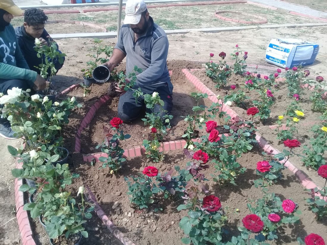 صور: آلتون كوبري تفرش الورد الجوري للسياح على الزاب الصغير في العيد