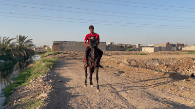 ضمن حملتها لرفع الحظر عن خيول العراق.. 964 في اسطبل “صدام” الأجمل في البلاد (فيديو)