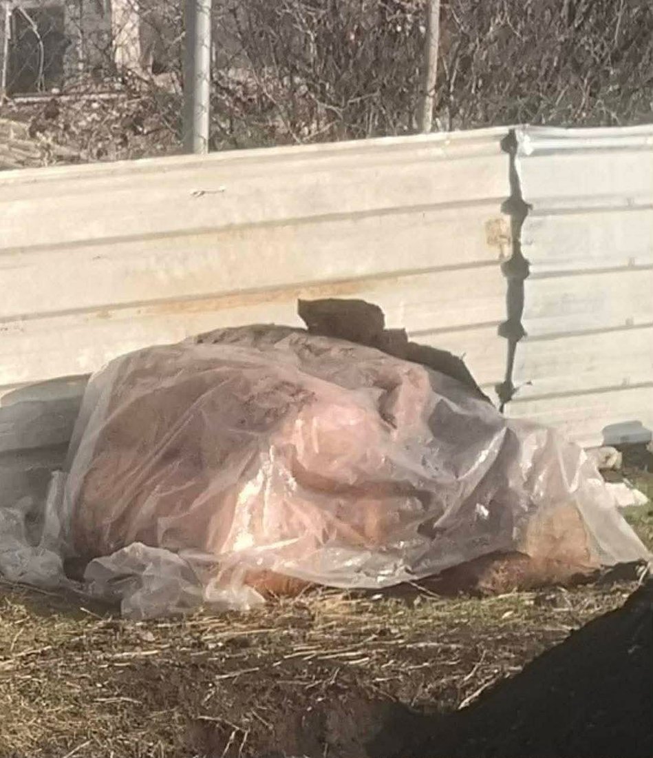 لە گوندێکی شارباژێر کورە خەڵوزێک تێکدرا