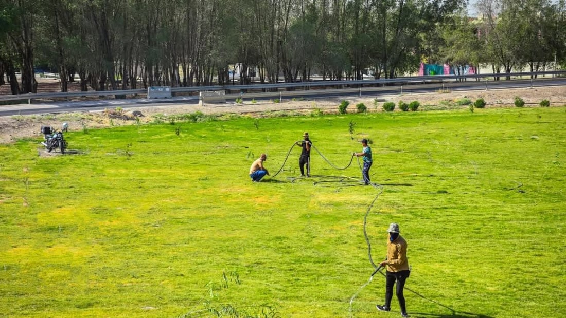 صور مبهرة من تشجير مقتربات مجسر الجمجمة في الحلة
