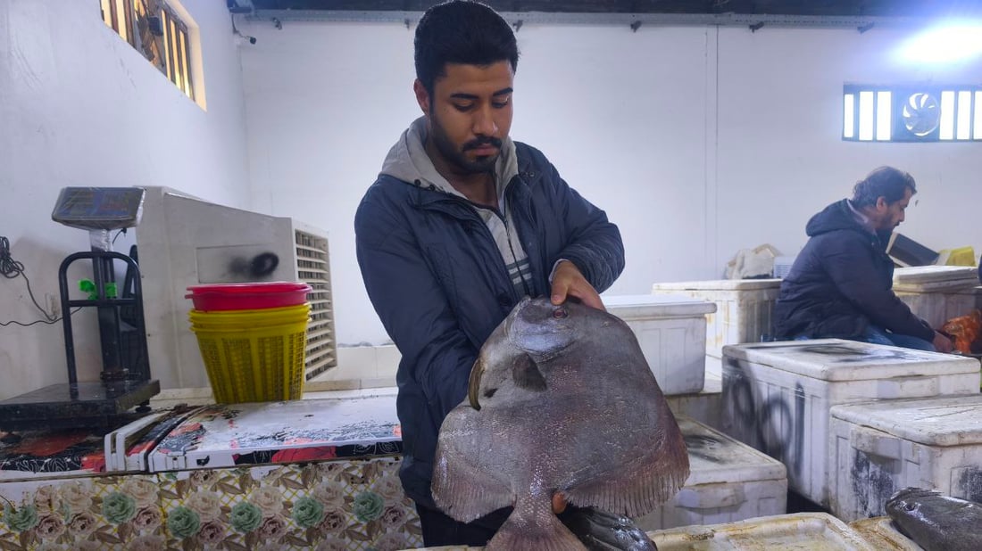 البرد يدفن الأسماك في قاع البحر.. صيادو الفاو يترقبون الدفء